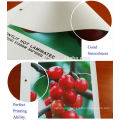 1.22*2.44m eco solvent printing material magnetic banner for shopping